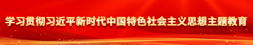 .com操小妞学习贯彻习近平新时代中国特色社会主义思想主题教育